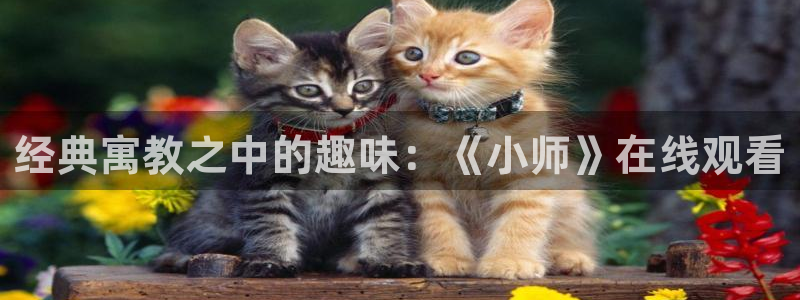 omofun动漫网在线观看：经典寓教之中的趣味：《小师》在线观看