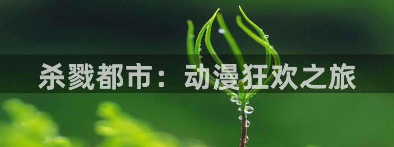 阿新动漫：杀戮都市：动漫狂欢之旅