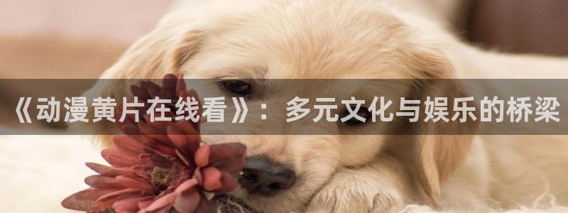 omofun动漫官网入口：《动漫黄片在线看》：多元文化与娱乐的桥梁