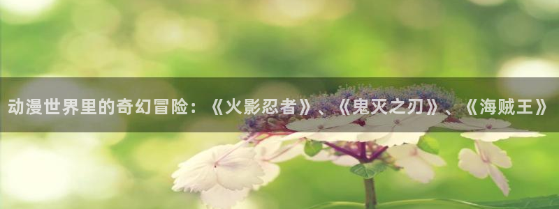 阿新动漫：动漫世界里的奇幻冒险：《火影忍者》、《鬼灭之刃》、《海贼王》